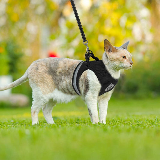 Greens Pet Harness Leash