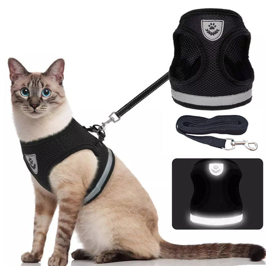 Greens Pet Harness Leash