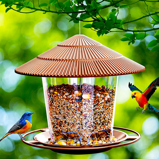 Elements Enclosed Bird Feeder