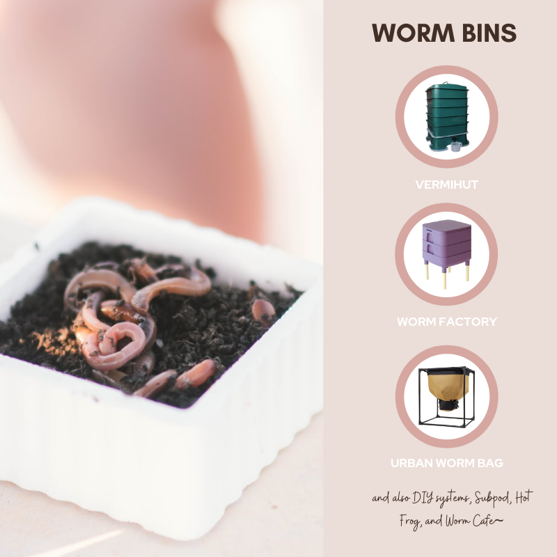 150 Count Composting Red Wiggler Worm Mix