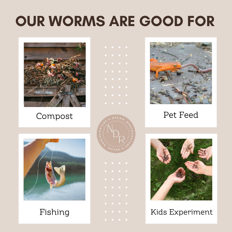 50 Count Red Wiggler Worm Compost Bait Mix